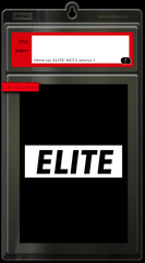 The G.A.R.B. Key - ELITE NFT Capsule Waitlist Reservation